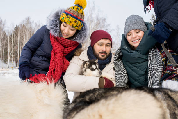 istock Friends Playing with Husky Dogs 922000814
