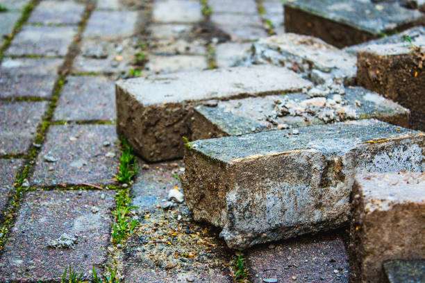 istock Paving stone for repair sidewalk in a park. 922001124