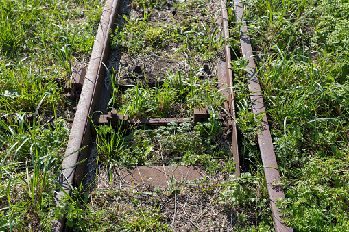 Old abandoned railway overgrown with grass