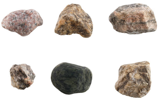 istock Set of stones of different breeds isolated on white background. 922007448