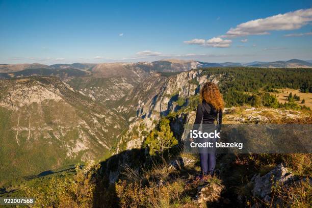 Young Woman Is Admiring Tara Canyon From Curevac Viewpoint In Durmitor National Park In Montenegro Stock Photo - Download Image Now