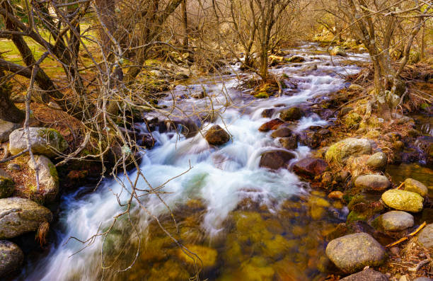The Manzanares river crosses the La Pedriza park, located in the State of Madrid, Spain, integrated in the Parque Regional de la Cuenca Alta del Manzanares. It is a perfect place for daily scape to the nature.