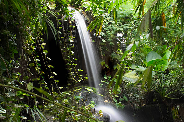 regenwald-wasserfall - tropical rainforest waterfall rainforest australia stock-fotos und bilder