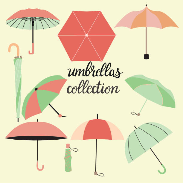 collection of different fashion umbrellas and lettering vector art illustration