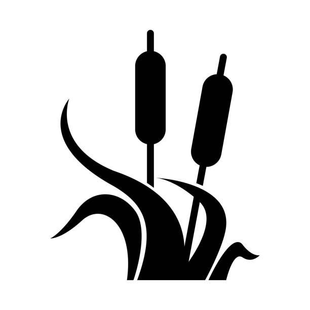 illustrations, cliparts, dessins animés et icônes de icône de zones humides, illustration vectorielle - bayou
