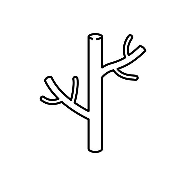 35,600+ Blood Vessels Stock Illustrations, Royalty-Free Vector Graphics