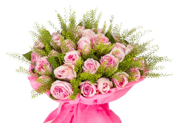 istock armful of pink roses. isolated image on white 922032868