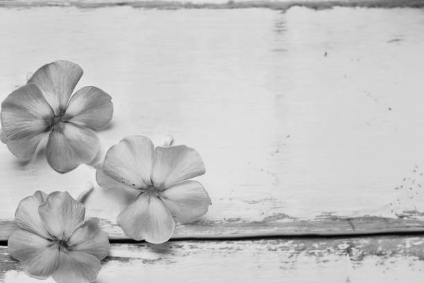 Flowers on a wooden table black and white poster