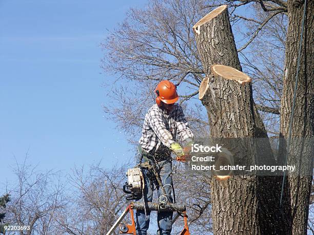 Foto de Desbastador De Árvore e mais fotos de stock de Classe Trabalhadora - Classe Trabalhadora, Cortar - Atividade, Escada - Objeto manufaturado