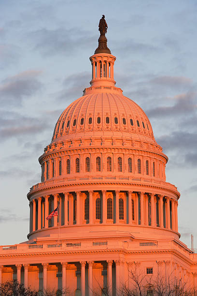 米国会議事堂のドーム - capitol hill voting dome state capitol building ストックフォトと画像