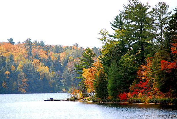Lake and forest in the fall in northern Ontario