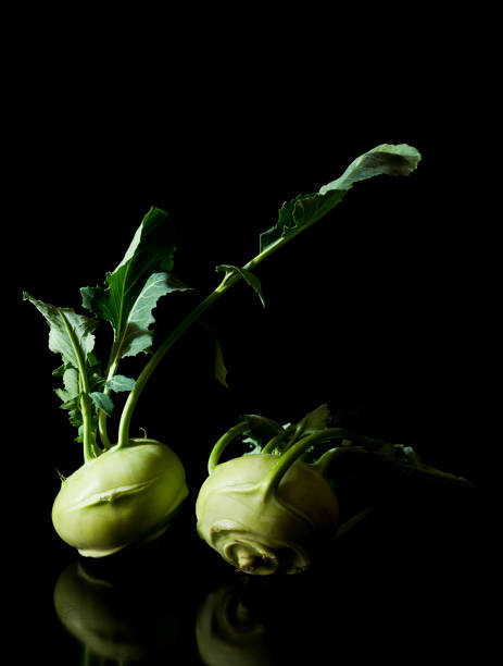 dos kohlrabies (alemán nabo o repollo nabo) con hojas - kohlrabi turnip kohlrabies cabbage fotografías e imágenes de stock