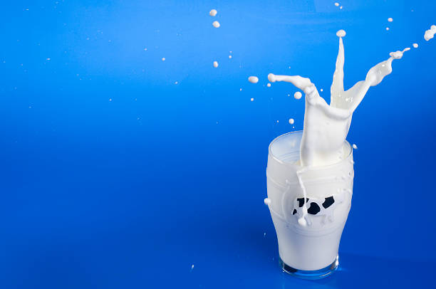 istock Splash of milk with drops over blue. 92203971