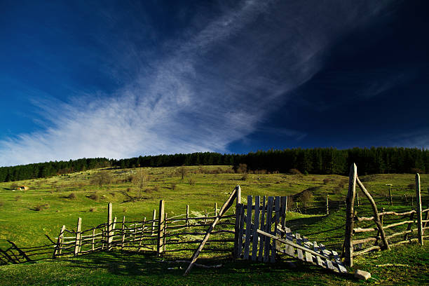 istock Green meadow, Jeravna village 92204050