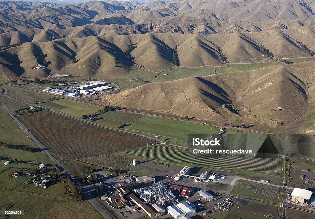 Azienda vinicola di Marlborough, Nuova Zelanda - Foto stock royalty-free di Nuova Zelanda