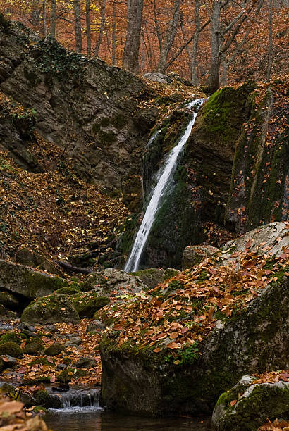 Waterfall in a beech glen stock photo