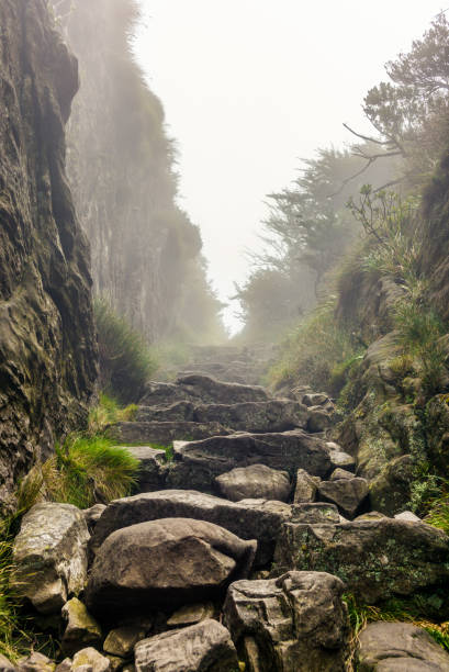 istock Passing a rock gorge with steep walls while hiking on Table Mountain of Cape Town - 4 922043788