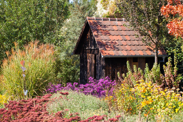 Garden utility shed between flower beds