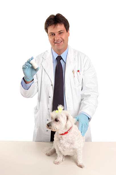 istock Vet with bottle of pills tablets 92204410