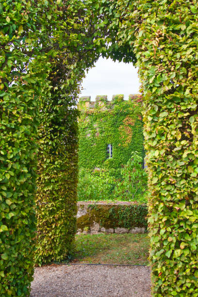 View through hedge gates at an overgrown medieval tower