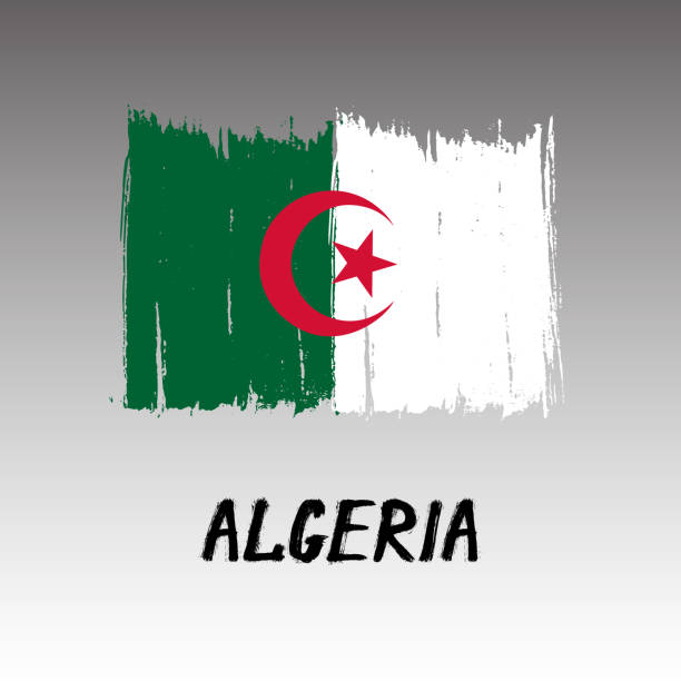 flagge von algerien - grunge - soccer soccer ball symbol algeria stock-grafiken, -clipart, -cartoons und -symbole