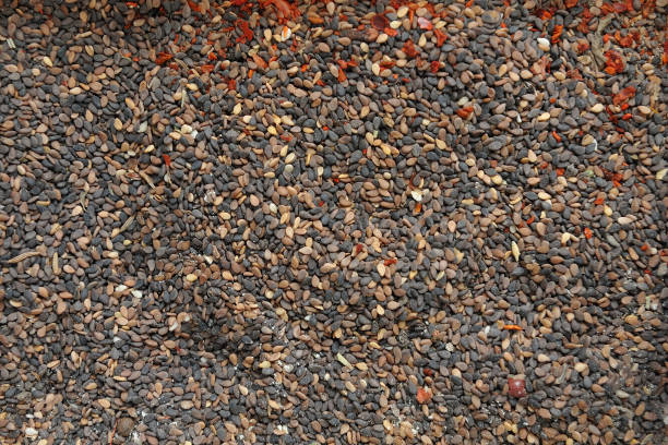 istock Beautiful and fresh seasoning fried sesame seeds 922049226