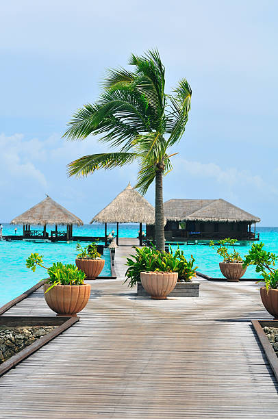 istock Maldives, Welcome to Paradise! 92205115