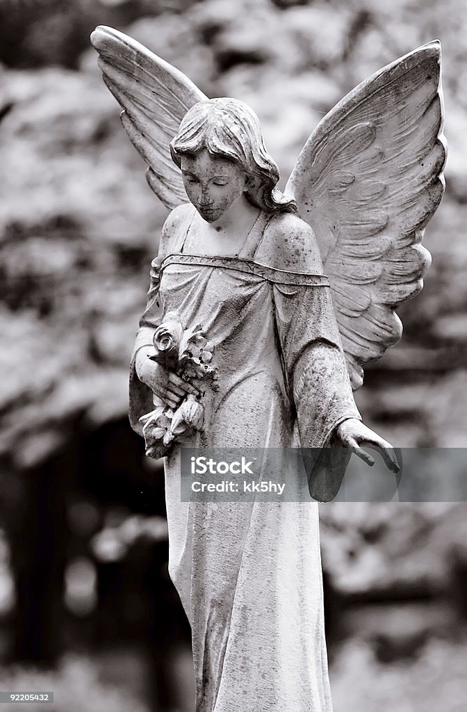Winged angel - Zbiór zdjęć royalty-free (Anioł)