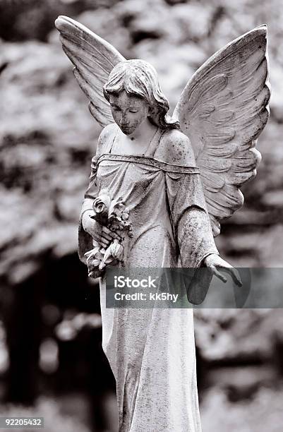 Виде Крыльев Ангела — стоковые фотографии и другие картинки Ангел - Ангел, Без людей, Белый