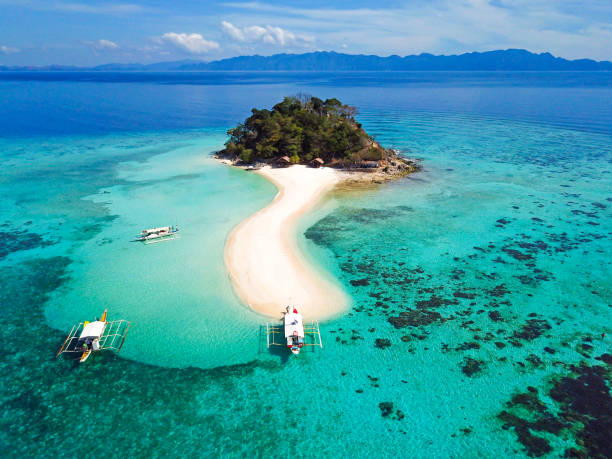 spiaggia palawan philipinnes - philippines foto e immagini stock