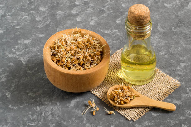 Fresh sprouted wheat seeds and wheat germ oil Fresh sprouted wheat seeds in bowl and spoon, wheat germ oil in bottle. Source of vitamins and micronutrients, has general strengthening, immunostimulating, antibacterial, antioxidant properties mini wheat cereal stock pictures, royalty-free photos & images