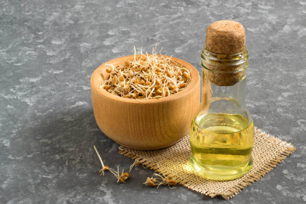 istock Fresh sprouted wheat seeds and wheat germ oil 922060928