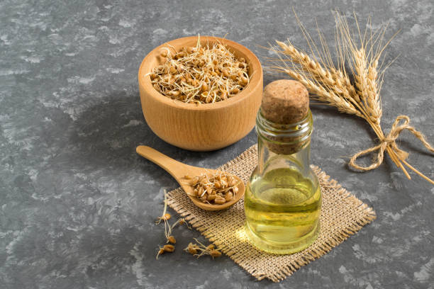 istock Fresh sprouted wheat seeds and wheat germ oil 922060960