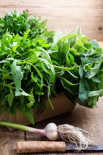 istock Variety of culinary and aromatic organic fresh herbs 922061702