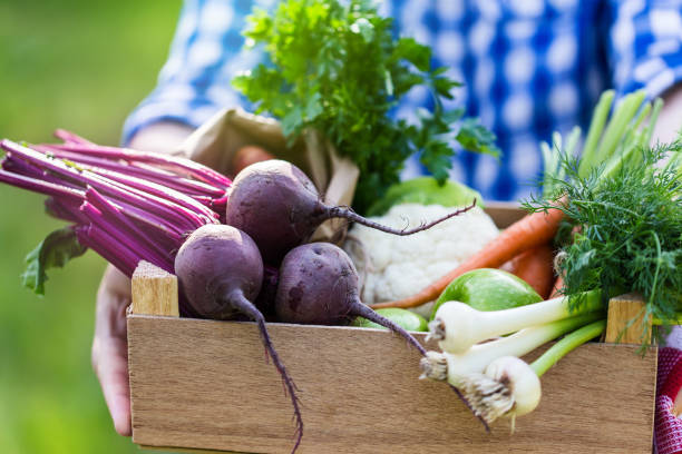 istock Women holding box with fresh vegetables outdoors 922063174