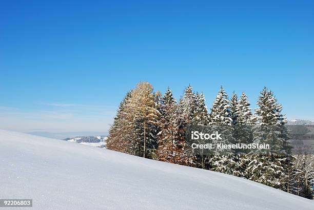 Winterlandschaft Stockfoto und mehr Bilder von Alpen - Alpen, Anhöhe, Baum