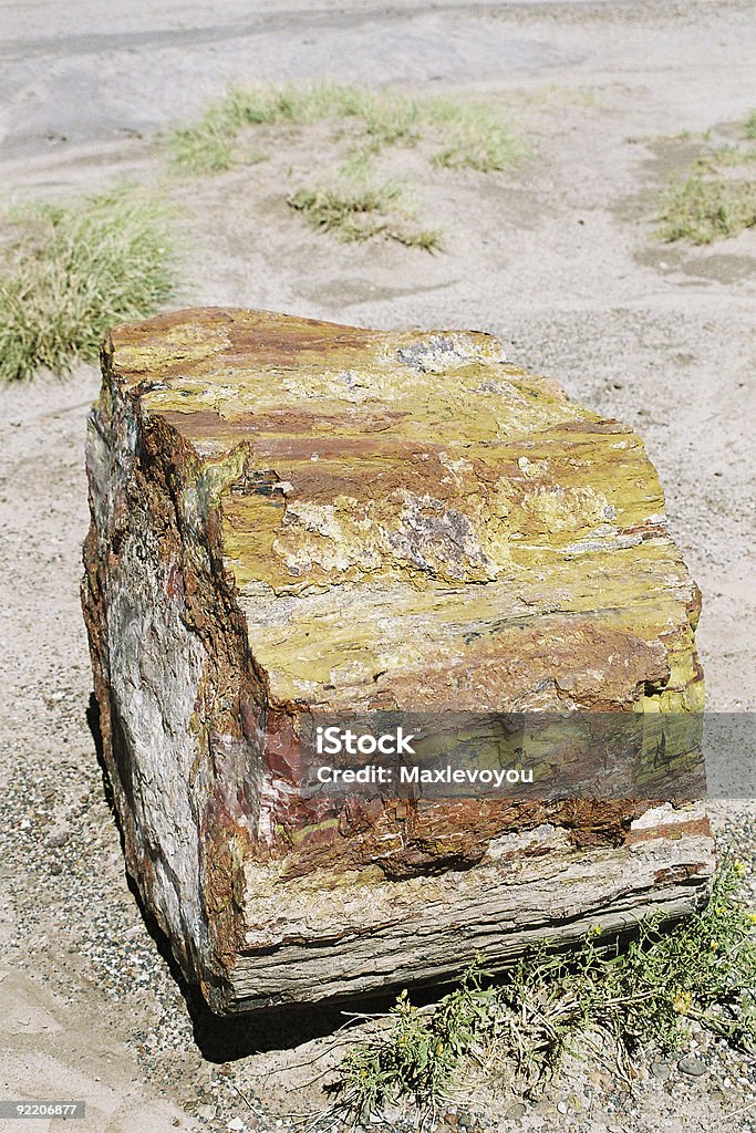 Окаменелый лес - Стоковые фото Аризона - Юго-запад США роялти-фри
