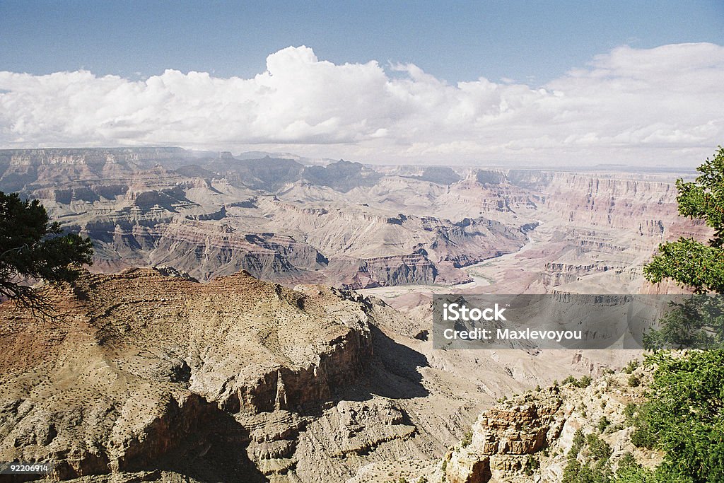 Grand Canyon - Photo de Animaux à l'état sauvage libre de droits