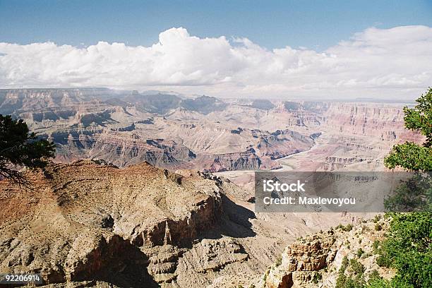 Photo libre de droit de Grand Canyon banque d'images et plus d'images libres de droit de Animaux à l'état sauvage - Animaux à l'état sauvage, Arbre, Arizona