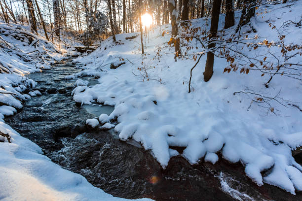 istock Winter stream in forest morning sunrise 922069294