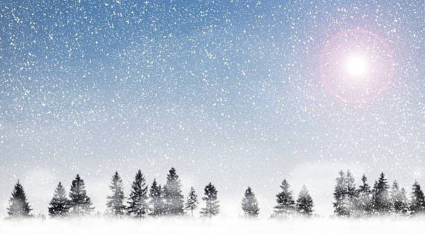 Winter scenery with pine woods and snow falling stock photo