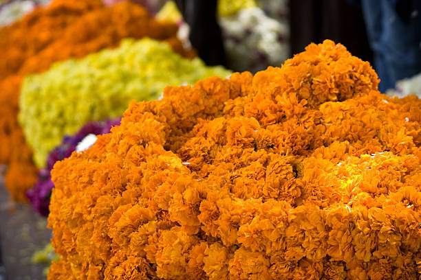 istock Indian roadside flower market 92207491