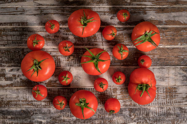 Free Stock Photo of Five ripe red tomatoes on a light wooden surface ...