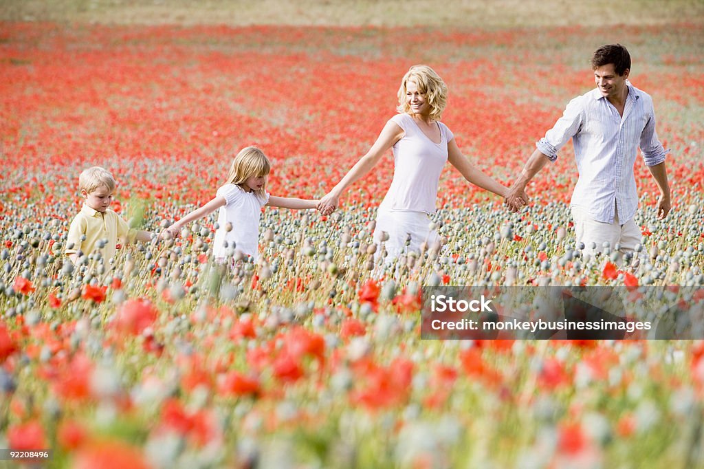 Família caminhar através de campo de Papoila - Royalty-free 30-34 Anos Foto de stock