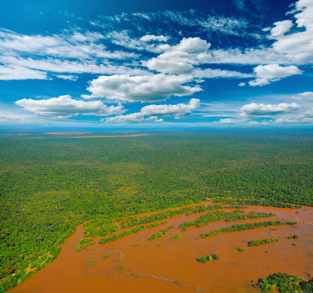 istock Aerial view of Iguazu river. 922085988
