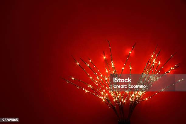 Small Lights Stock Photo - Download Image Now - Abstract, Backgrounds, Branch - Plant Part