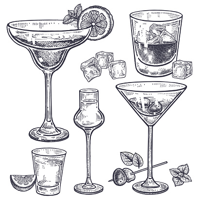 Alcoholic drinks set. Margarita; whiskey; tequila; vodka and vermouth in glasses; ice; olives; mint; lemon. Isolated on white background. Black and white. Vintage. Hand drawing. Vector illustration.