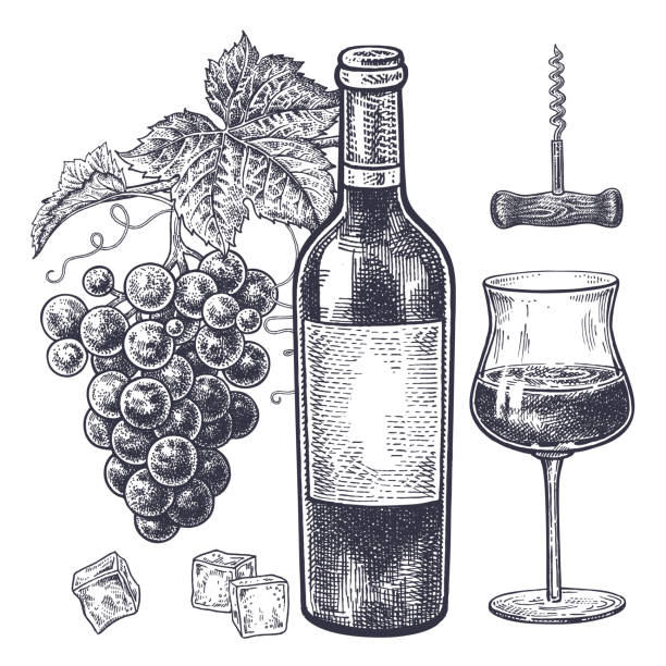 zestaw do wina i winogron. - isolated on white bottle alcohol alcoholism stock illustrations