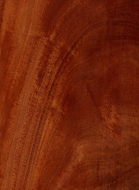 Figured Mahogany - Wood Texture Series  mahogany photos stock pictures, royalty-free photos & images