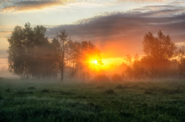 istock spring morning. a misty dawn in a picturesque meadow. Sun rays 922100202